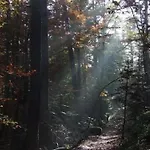 L'instant Le Hohwald