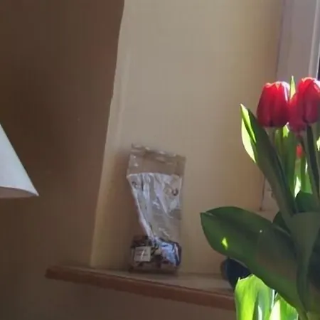 D'hotes L'instant Le Hohwald