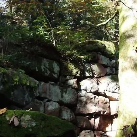 L'instant Le Hohwald