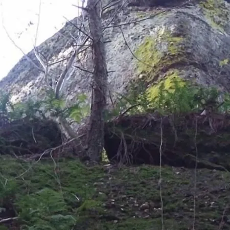 D'hôtes L'instant Maison d'hôtes 3*