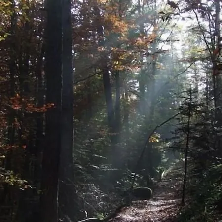 D'hotes L'instant Le Hohwald