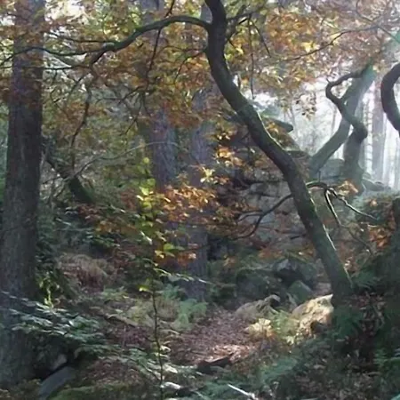 D'hôtes L'instant Maison d'hôtes 3*